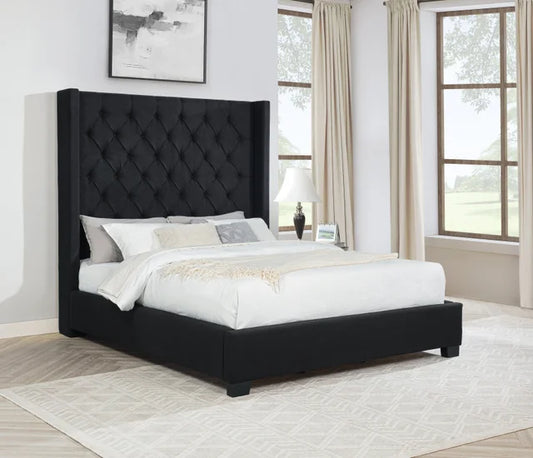 HH406 6FT - Queen, King
